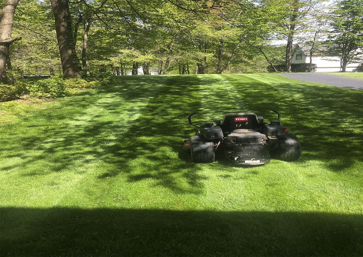 Weekly- Bi-Weekly Mowing